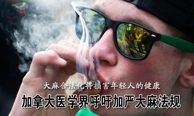 要保护年轻人：医学界呼吁加严大麻法规