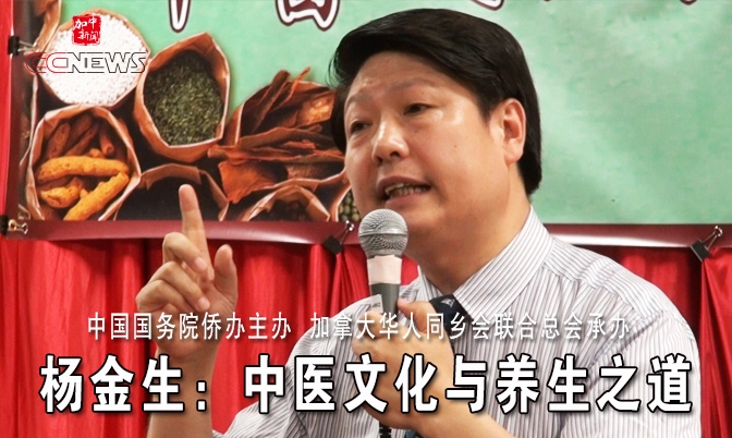 杨金生：中医文化与养生之道(演讲实况4集）