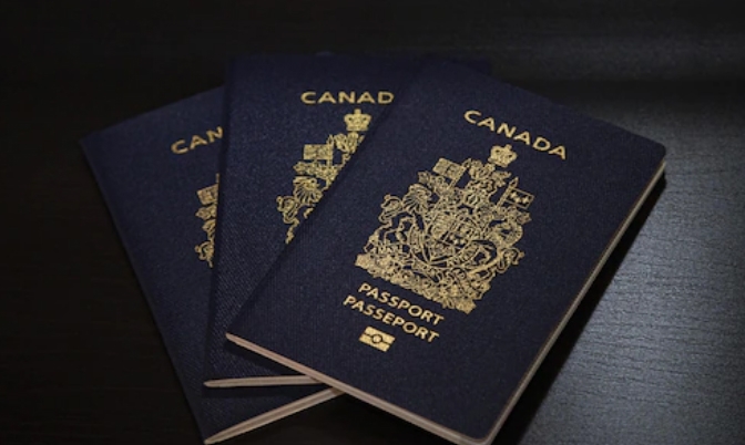 加拿大护照危机：申请人排队大量申请积压