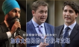 你支持哪个党  加拿大选民的年龄段与立场