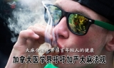 要保护年轻人：医学界呼吁加严大麻法规