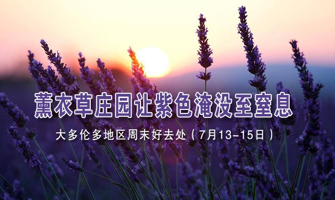 大多伦多地区周末好去处（7月13-15日）