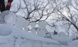 强风暴雪横扫纽芬兰   学校关闭航班取消