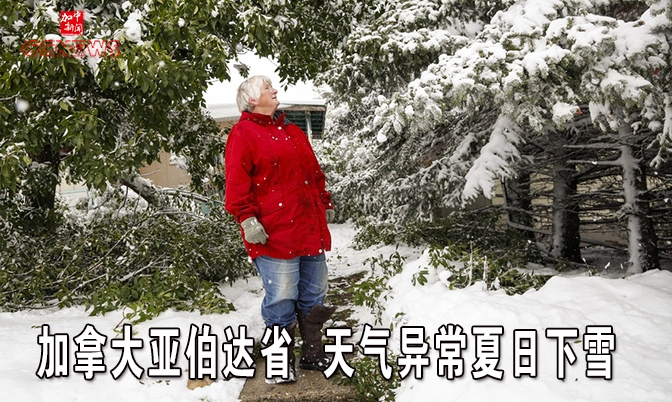 加拿大亚伯达省天气异常夏日下雪