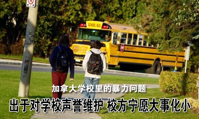 加拿大学校里的暴力问题：CBC调查